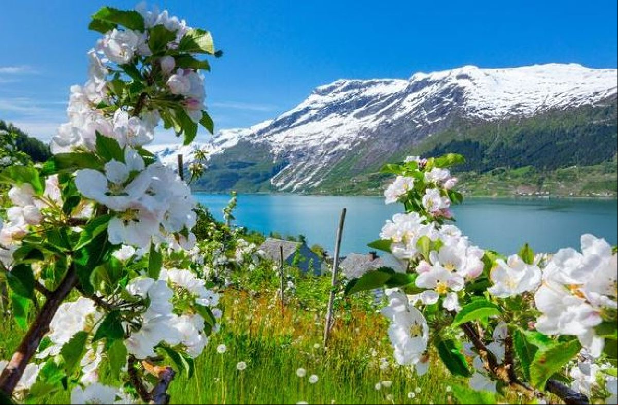 Primavera na Noruega: descubra as melhores atividades para aproveitar a estação no país