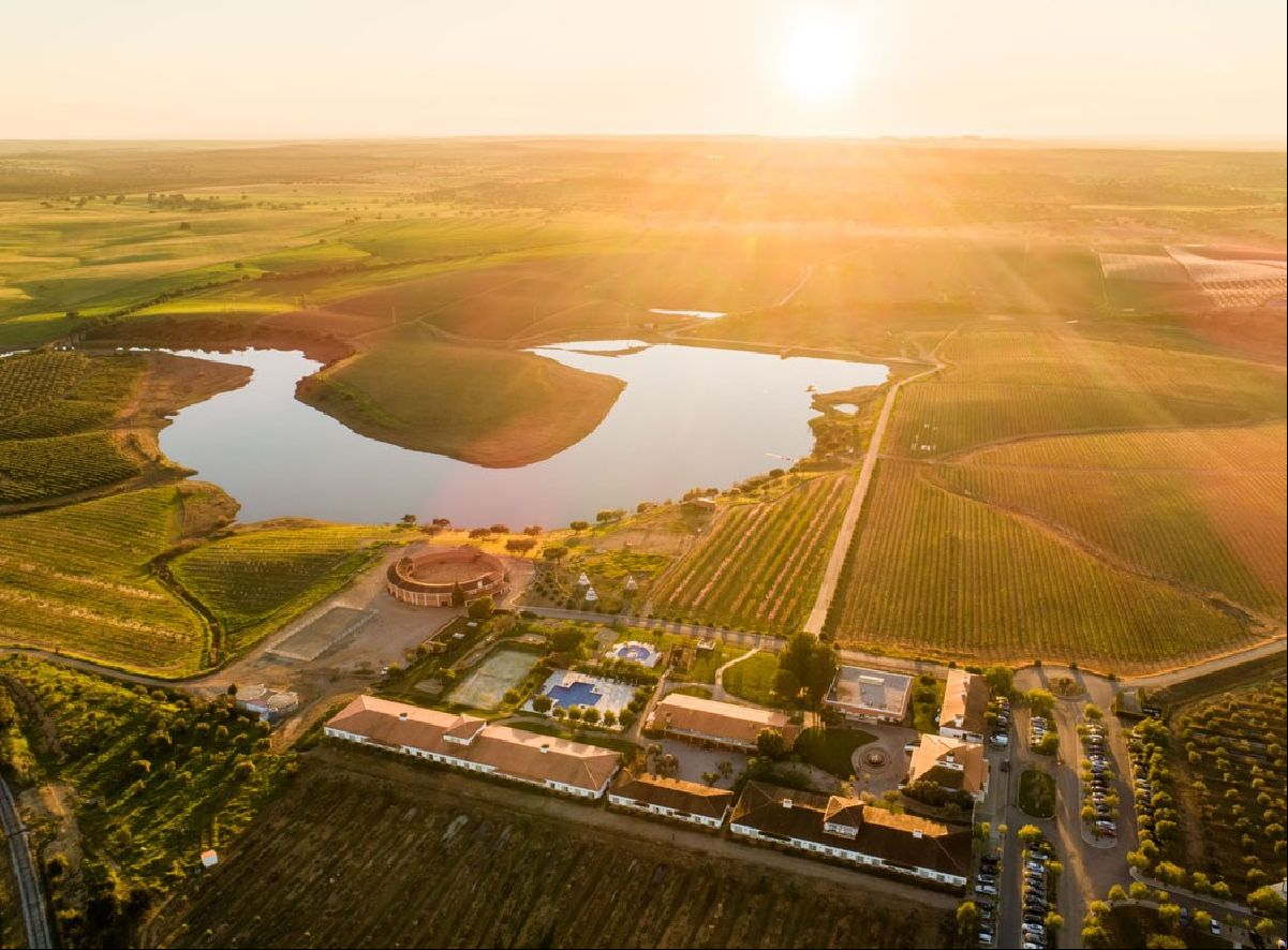 Vila Galé realiza experiência de vindimas no Alentejo e no Douro, em Portugal